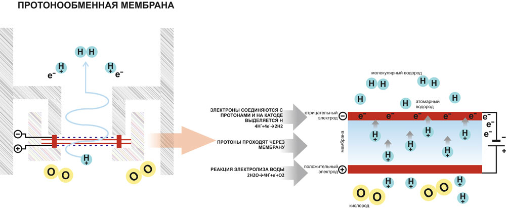 Настольный генератор водородной воды PAINO Premium, Paino Technology - характеристики моделей