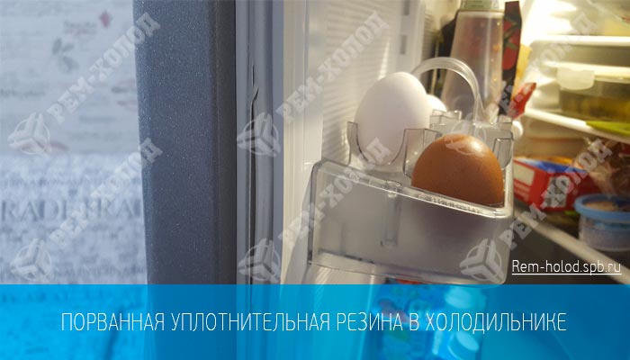 порвалась уплотнительная резинка в холодильнике