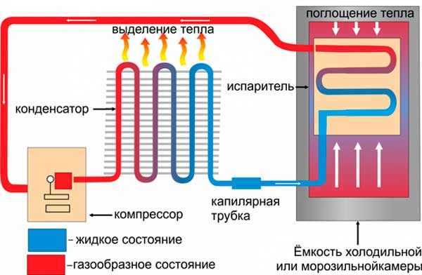 Схема работы компрессорного холодильника популярных марок и размеров по единому принципу
