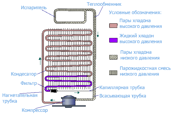 Схема стандартного холодильника и как циркулирует хладагент по трубам радиатора на задней стенке модели