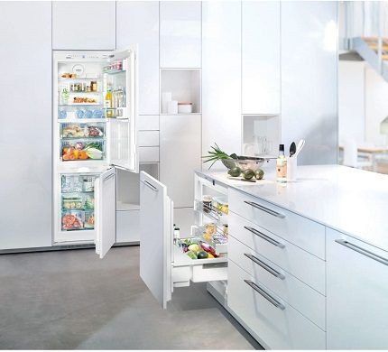 Многообразие бытовых холодильников 