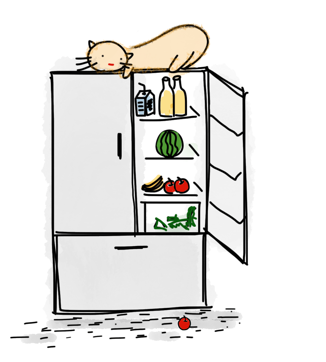 кошка на холодильнике